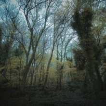 WORRIEDABOUTSATAN - TIME LAPSE - CD image 1